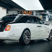 GSWF WHITE GLOSS