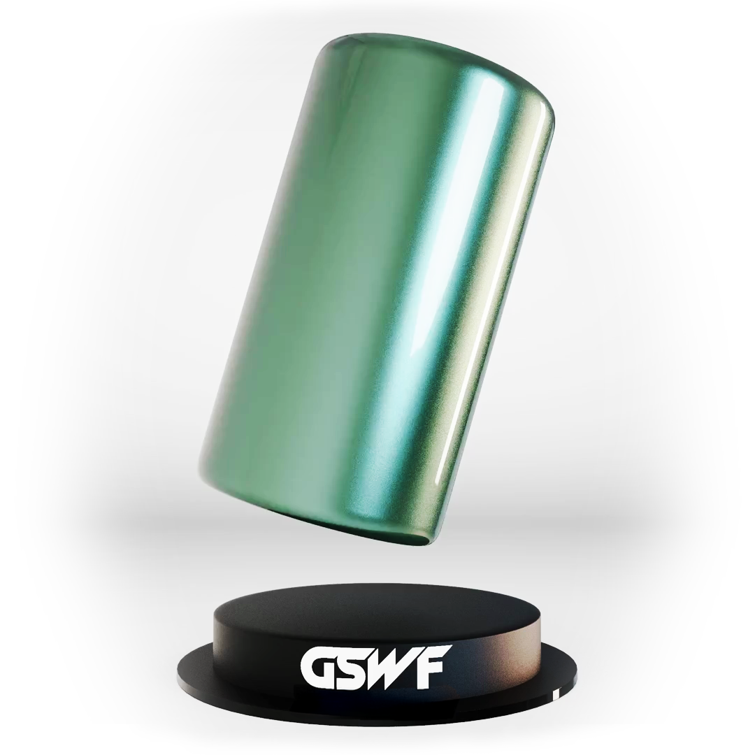 GSWF ENERGIZE PPF