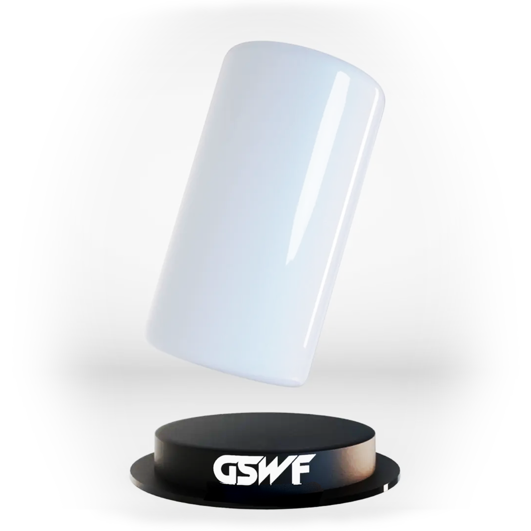 GSWF GREY METALLIC PPF