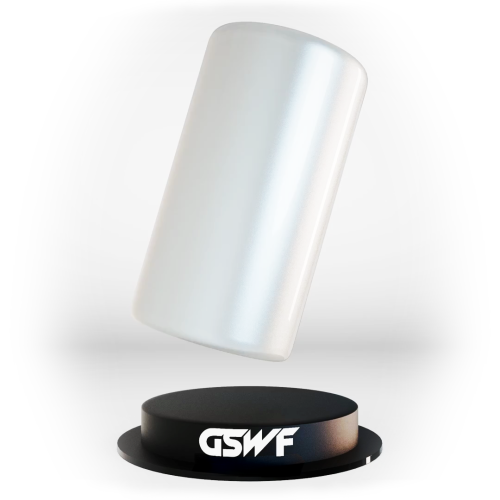 GSWF SPARK